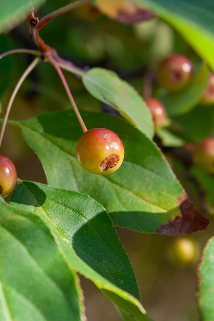 也意在强调 也意在强调