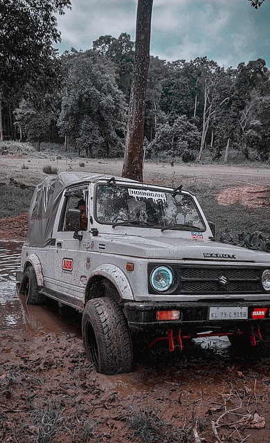 了球迷的关 了球迷的关