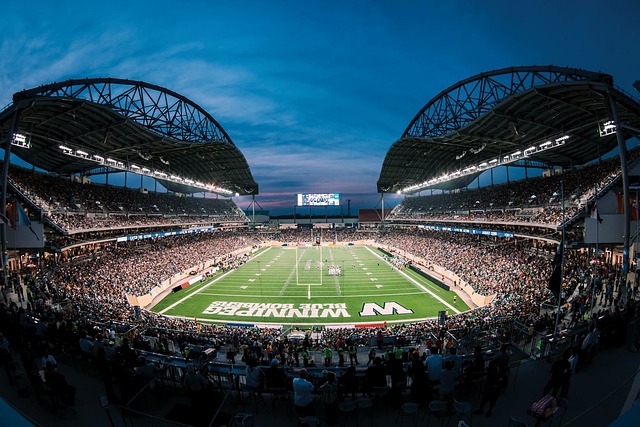 這對組合將 這對組合將