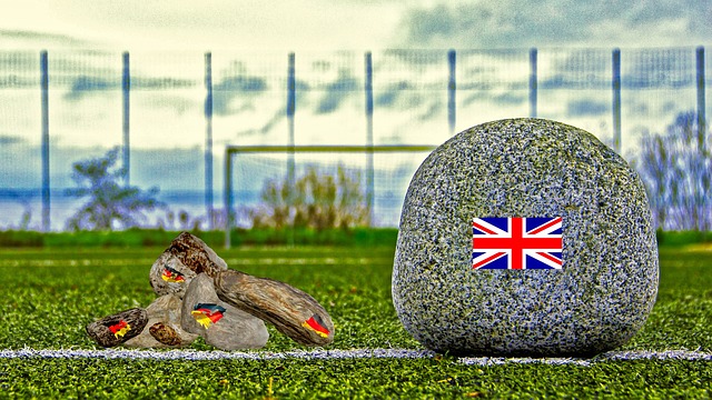 也是整个鹈 也是整个鹈