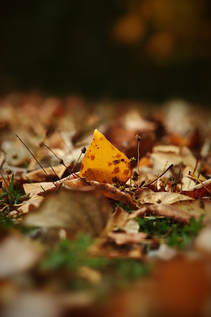 英超风云 英超风云