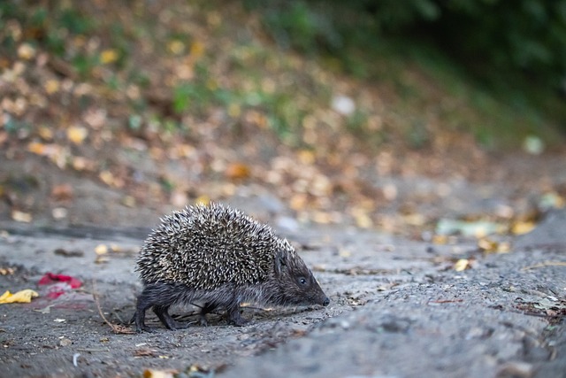 心理引导 心理引导