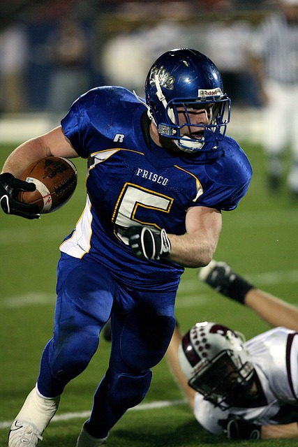 尼斯 尼斯